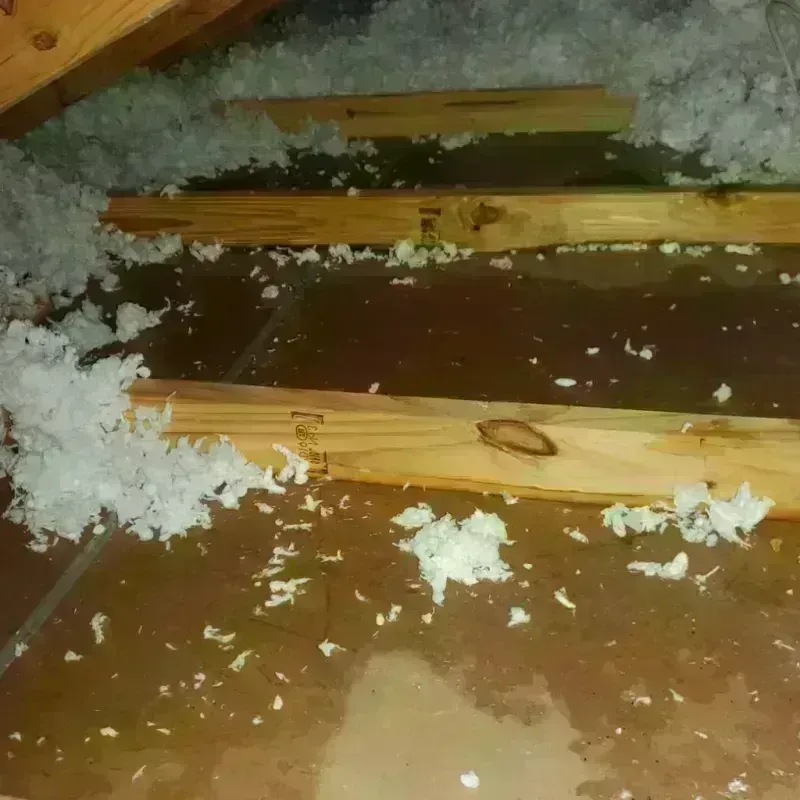 Attic Water Damage in Elizabethtown, IL