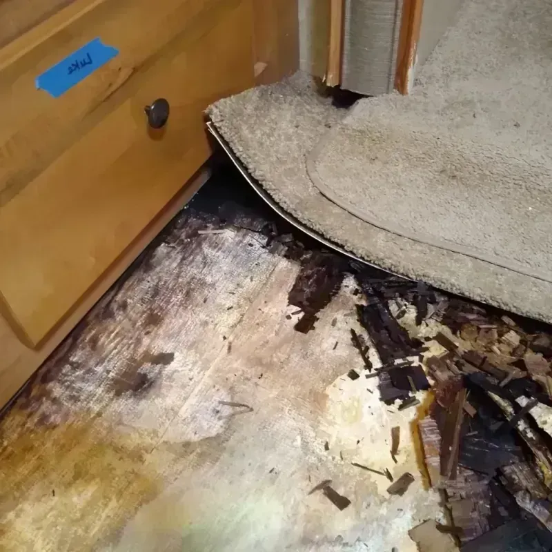 Wood Floor Water Damage in Elizabethtown, IL